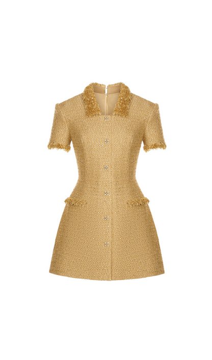 gold embellished mini dress