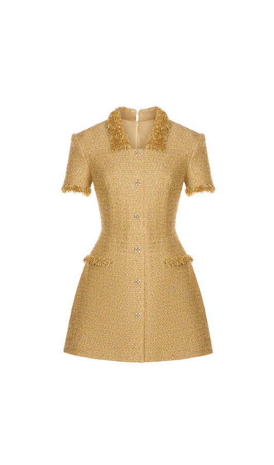 gold embellished mini dress