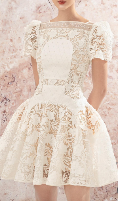 rose sleeve lace hollow mini dress in white