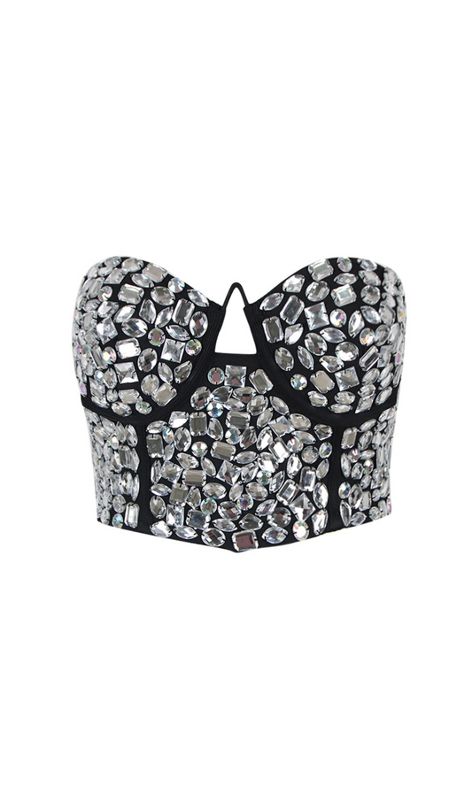 CRYSTAL EMBROIDERED BUSTIER TOP
