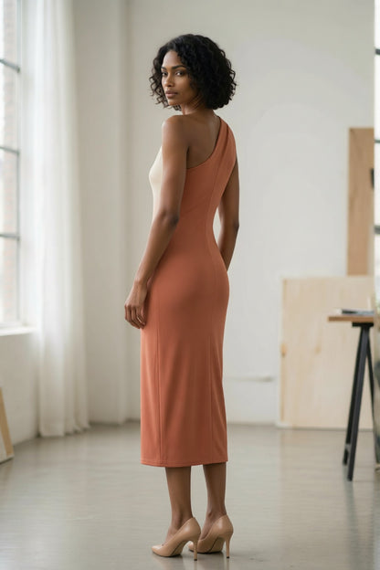 Terracotta Beige Ombre Gradient Asymmetrical One Shoulder 3D Rose Floral Applique Slim Bodycon Midi Dress